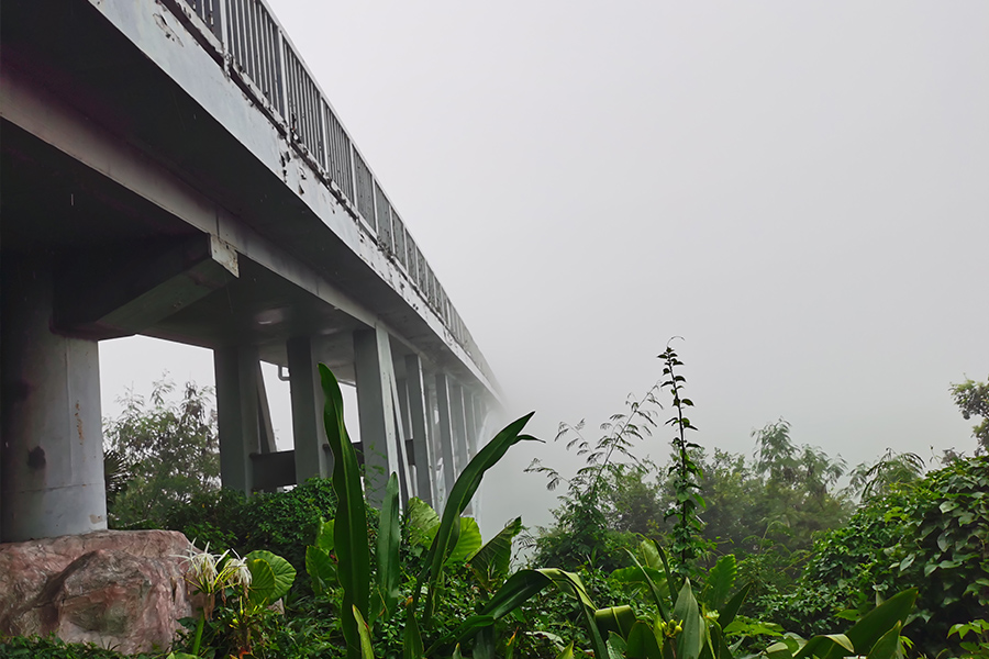 太阳集团官网团队风采